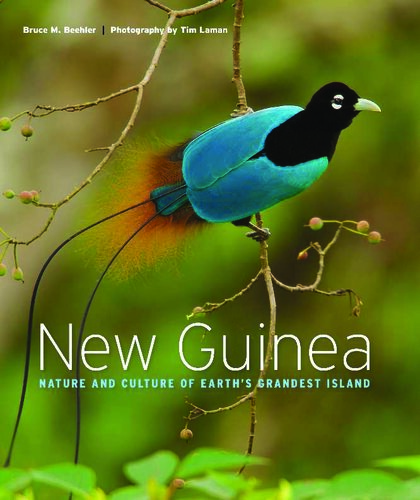New Guinea