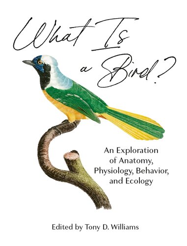 What Is a Bird?