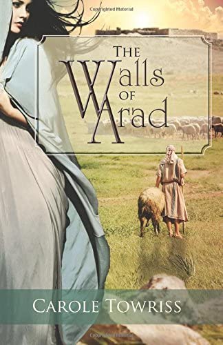 The Walls of Arad (Journey to Canaan) (Volume 3)