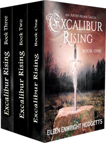 Excalibur Rising Book Two (Excalibur Rising, #20