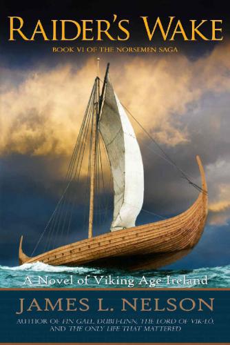 Raider's Wake: A Novel of Viking Age Ireland (The Norsemen Saga) (Volume 6)