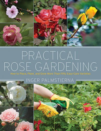 Successful Rose Gardening (Better Homes and Gardens)