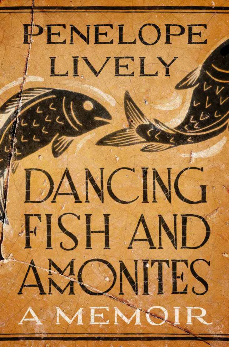 Dancing Fish and Ammonites