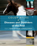 Color Atlas of Diseases and Disorders of the Foal