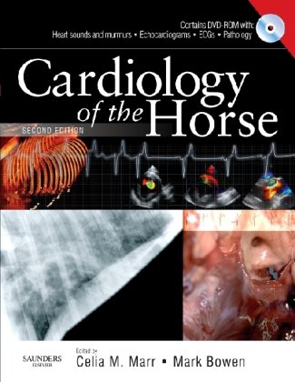 Cardiology of the Horse