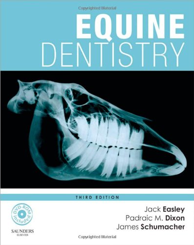 Equine Dentistry