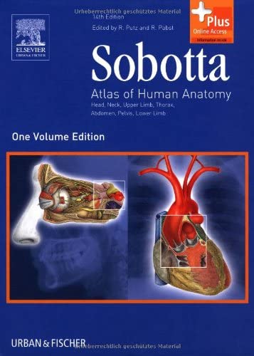 Sobotta - Atlas of Human Anatomy: Head, Neck, Upper Limb, Thorax, Abdomen, Pelvis, Lower Limb (Sobotta Atlas of Human Anatomy, 1 Vol)