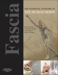 Fascia