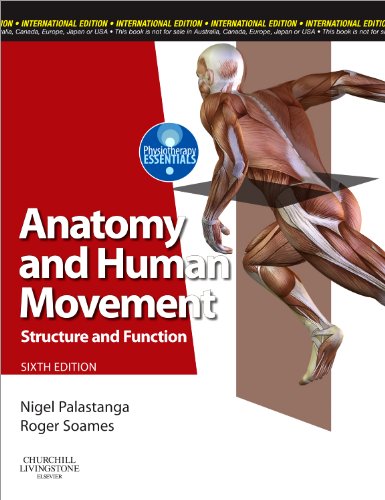 Anatomy and Human Movement