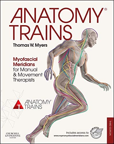 Anatomy Trains