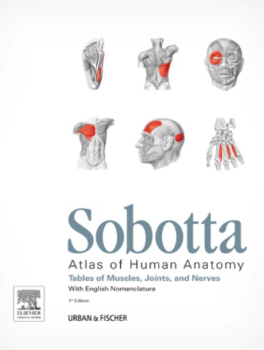 Sobotta Tables of Muscles, Joints and Nerves, English