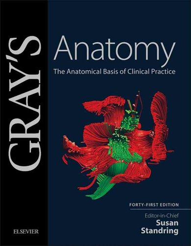 Gray's Anatomy