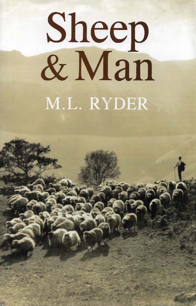 Sheep and Man