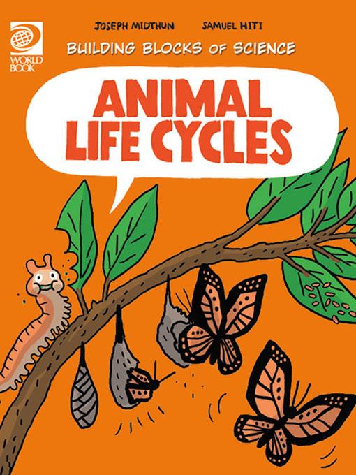 Animal Life Cycles