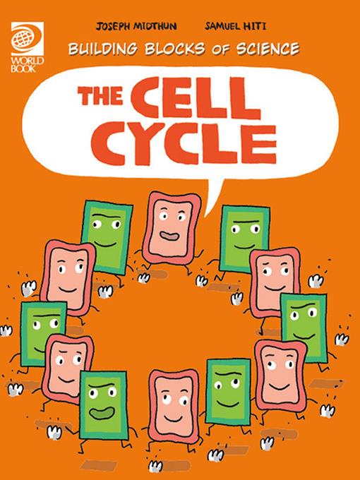 The Cell Cycle