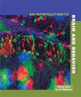 Introduction to Brain and Behavior