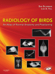 Radiology of Birds