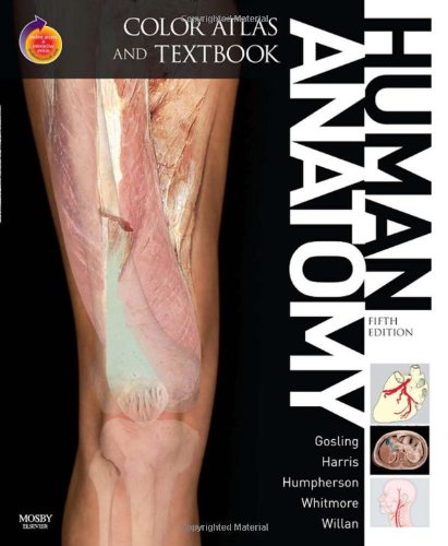 Human Anatomy