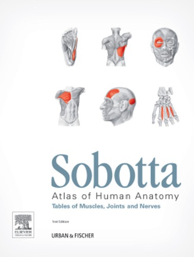 Tables of Muscles, Joints and Nerves