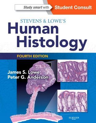 Stevens &amp; Lowe's Human Histology