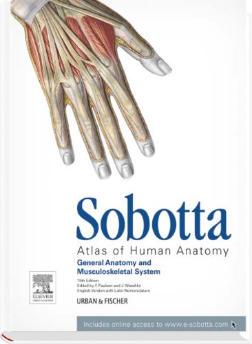 General Anatomy and Musculoskeletal System