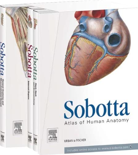 Sobotta Atlas of Human Anatomy, Package, 15th ed., English/Latin: mMusculoskeletal system, internal organs, head, neck, neuroanatomy - with online access to e-sobotta.com