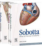 Sobotta Atlas of Human Anatomy, Vol. 2, 15th ed., English/Latin: Internal Organs - with online access to e-sobotta.com (English and Latin Edition)