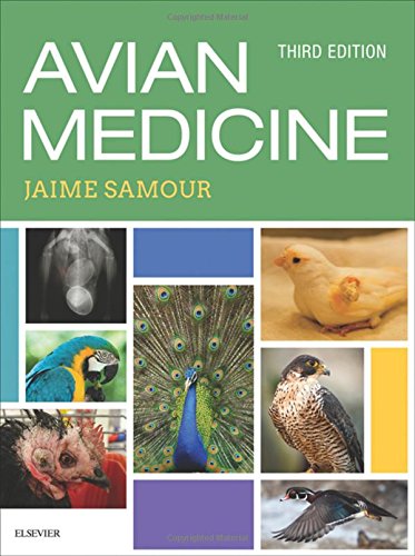 Avian Medicine