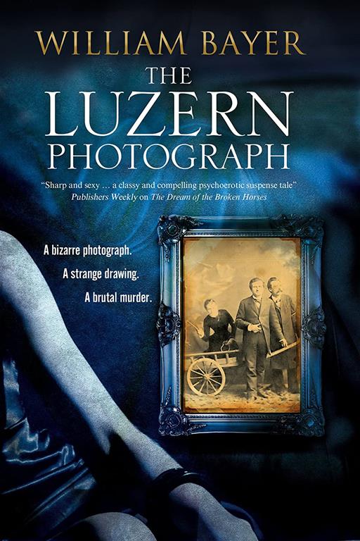 Luzern Photograph, The: A noir thriller