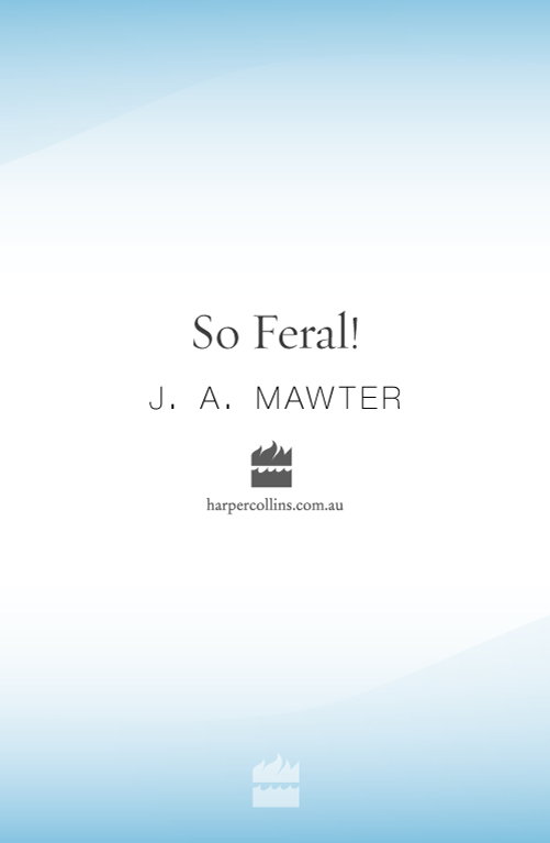 So Feral!