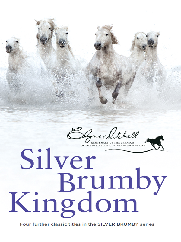 Silver Brumby Kingdom