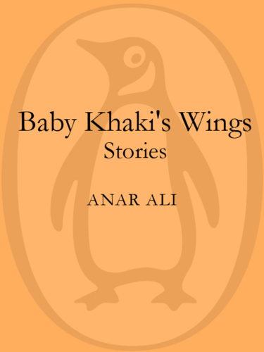 Baby Khaki's Wings