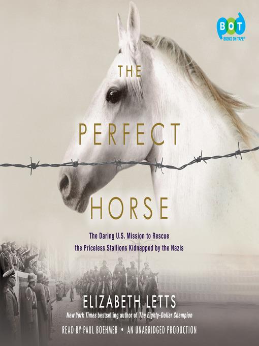 The Perfect Horse