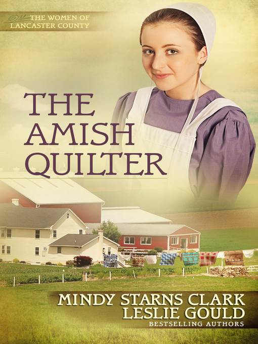 The Amish Quilter