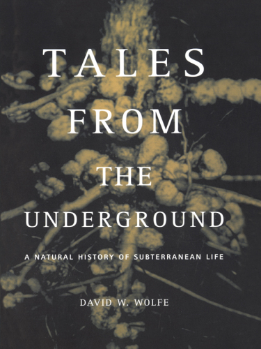 Tales From The Underground