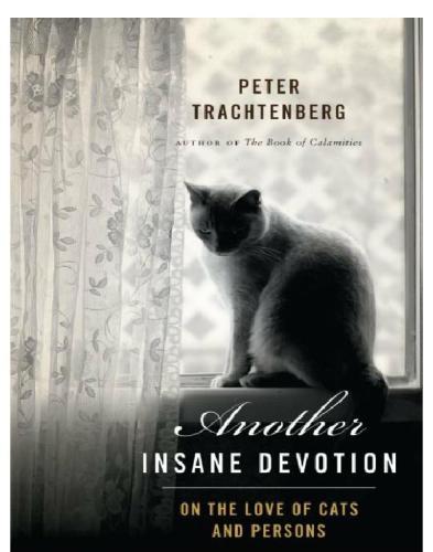 Another Insane Devotion