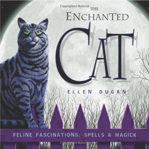 The Enchanted Cat