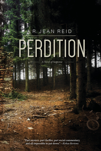 Perdition: A Novel of Suspense (A Nell McGraw Investigation, 2)