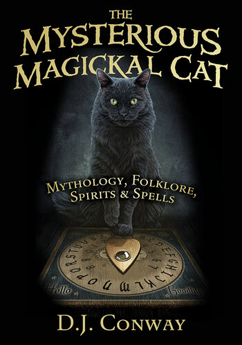 The Mysterious Magickal Cat