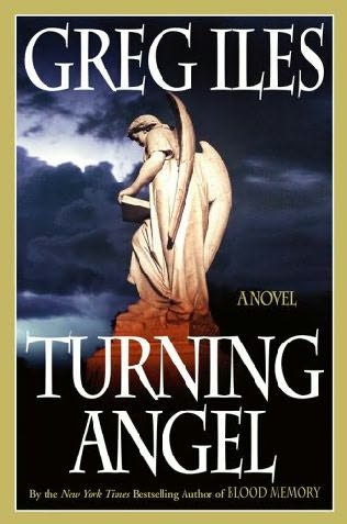 Turning Angel