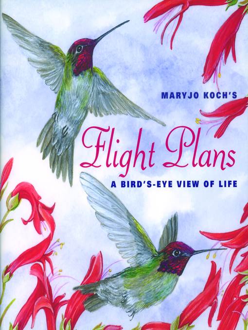 Flight Plans