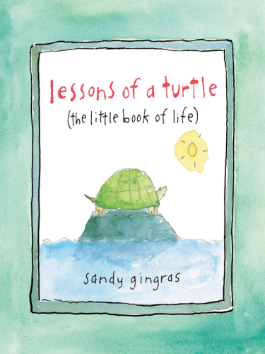 Lessons of a Turtle