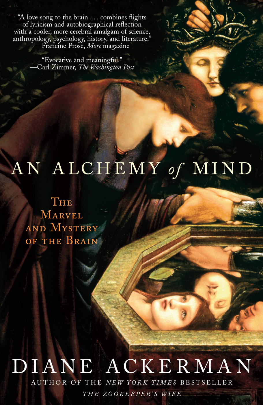 An Alchemy of Mind