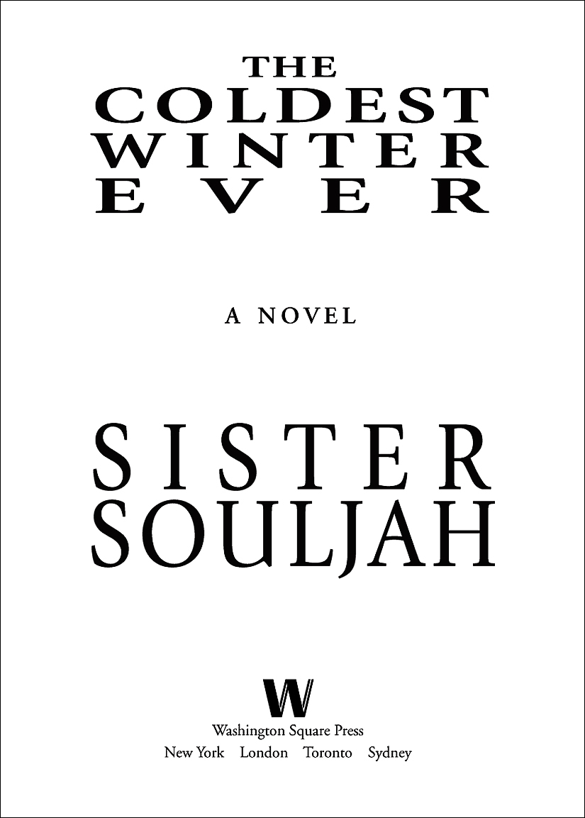 The Coldest Winter Ever: A Novel