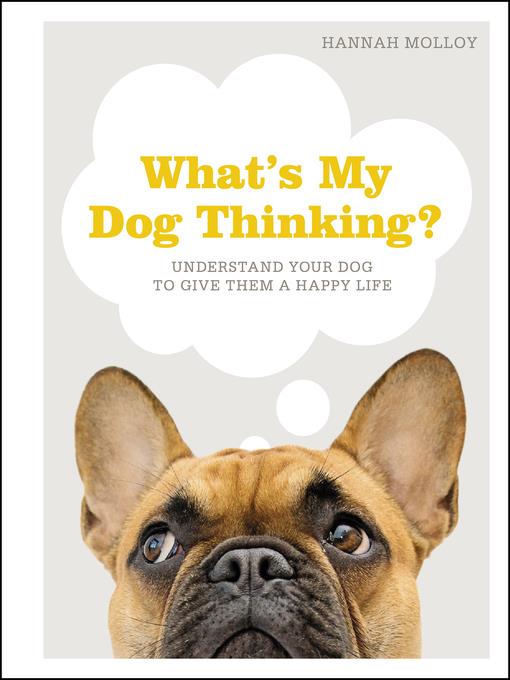 What's My Dog Thinking?