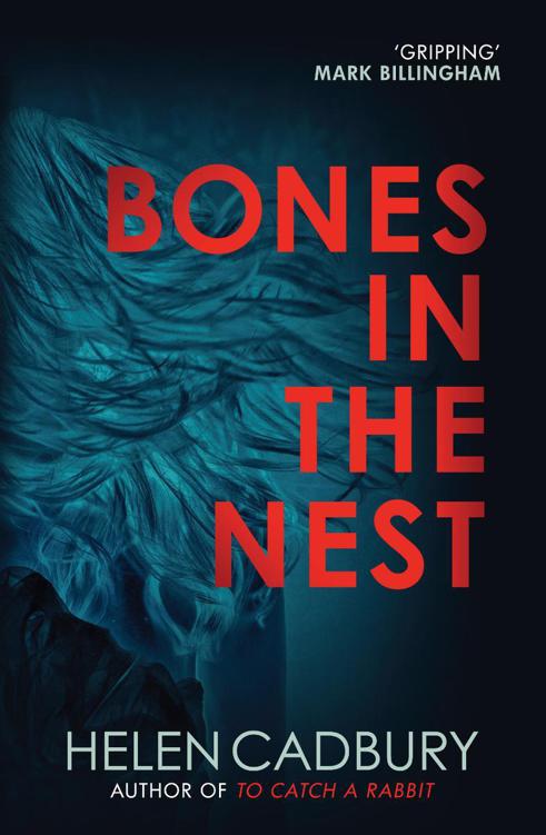 Bones in the Nest