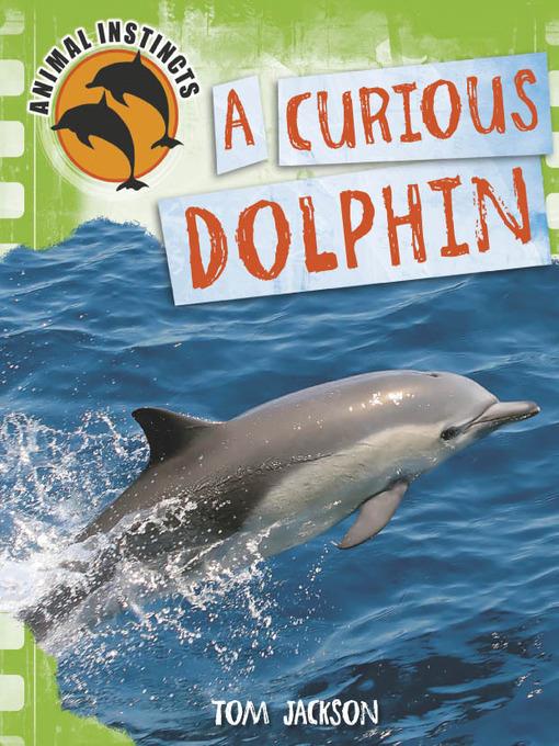 A Curious Dolphin