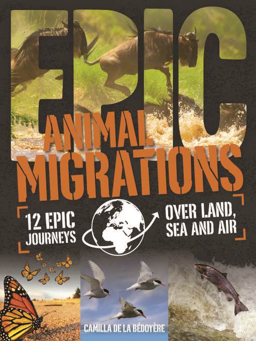 Animal Migrations