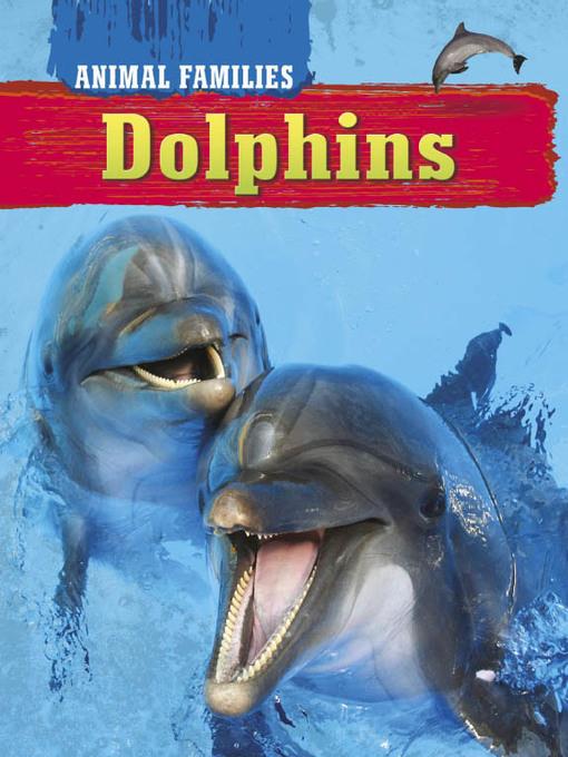 Dolphins