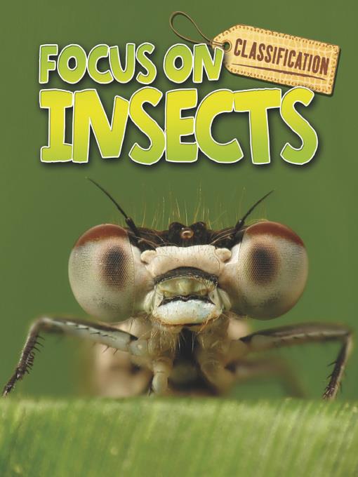 Classification Focus on Insects